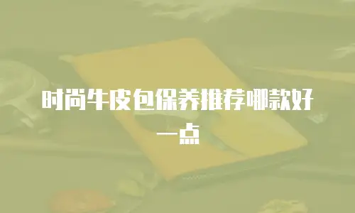 时尚牛皮包保养推荐哪款好一点