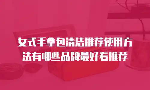 女式手拿包清洁推荐使用方法有哪些品牌最好看推荐