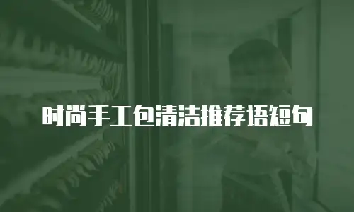 时尚手工包清洁推荐语短句