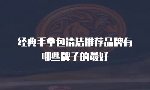 经典手拿包清洁推荐品牌有哪些牌子的最好