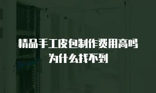 精品手工皮包制作费用高吗为什么找不到