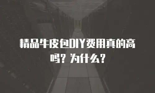 精品牛皮包DIY费用真的高吗？为什么？