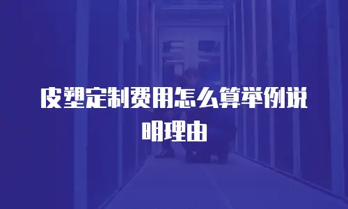 皮塑定制费用怎么算举例说明理由