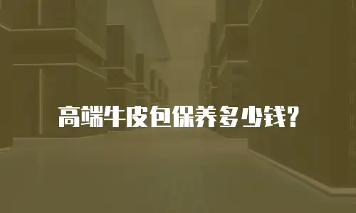 高端牛皮包保养多少钱？