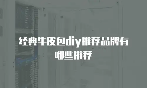 经典牛皮包diy推荐品牌有哪些推荐