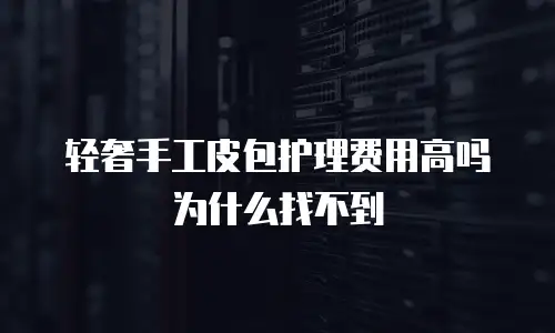 轻奢手工皮包护理费用高吗为什么找不到