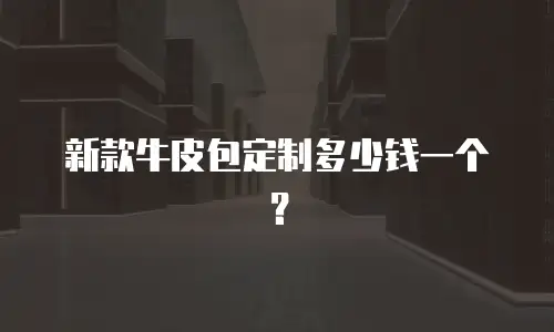 新款牛皮包定制多少钱一个？