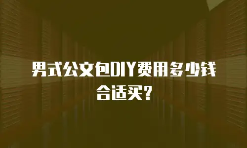 男式公文包DIY费用多少钱合适买？