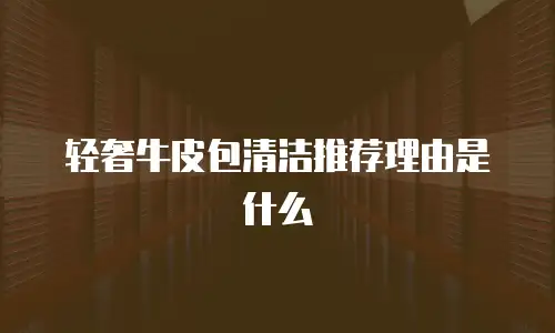 轻奢牛皮包清洁推荐理由是什么