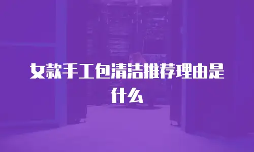 女款手工包清洁推荐理由是什么