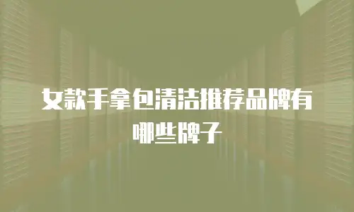 女款手拿包清洁推荐品牌有哪些牌子