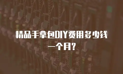 精品手拿包DIY费用多少钱一个月？