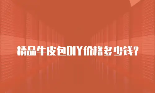 精品牛皮包DIY价格多少钱？