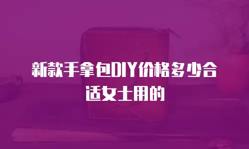 新款手拿包DIY价格多少合适女士用的