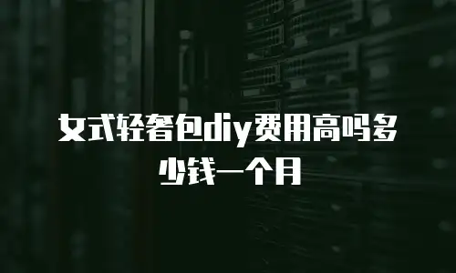 女式轻奢包diy费用高吗多少钱一个月