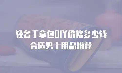轻奢手拿包DIY价格多少钱合适男士用品推荐