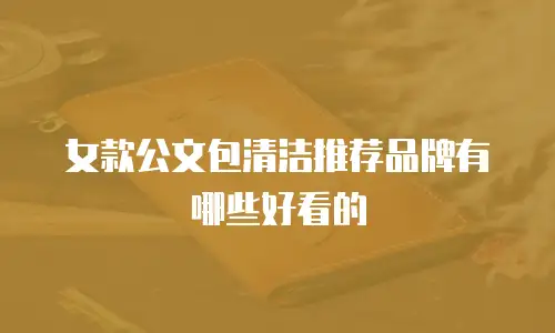 女款公文包清洁推荐品牌有哪些好看的