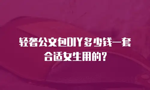 轻奢公文包DIY多少钱一套合适女生用的？