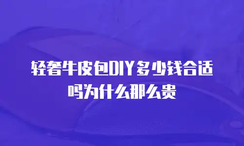 轻奢牛皮包DIY多少钱合适吗为什么那么贵
