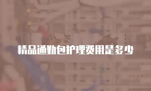 精品通勤包护理费用是多少