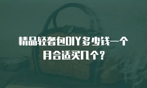 精品轻奢包DIY多少钱一个月合适买几个？