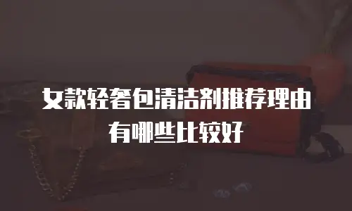 女款轻奢包清洁剂推荐理由有哪些比较好