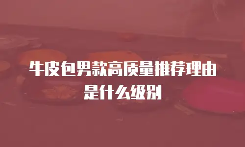牛皮包男款高质量推荐理由是什么级别