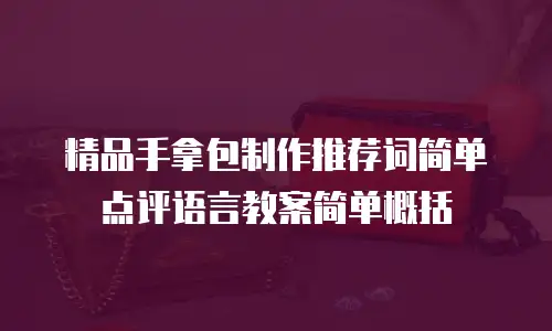 精品手拿包制作推荐词简单点评语言教案简单概括