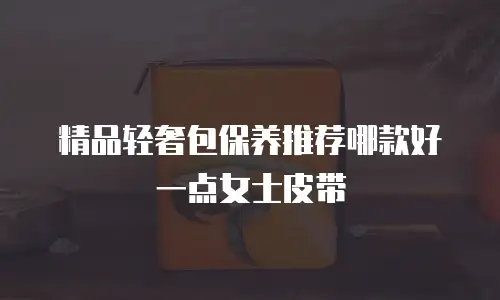 精品轻奢包保养推荐哪款好一点女士皮带