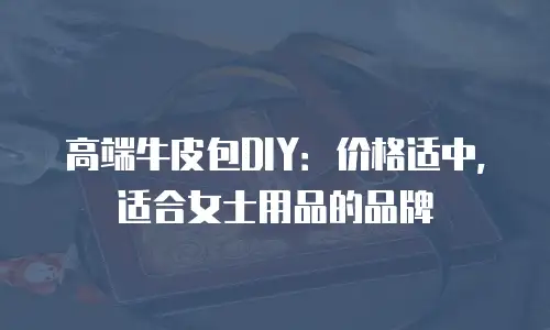高端牛皮包DIY：价格适中，适合女士用品的品牌