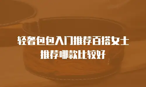 轻奢包包入门推荐百搭女士推荐哪款比较好