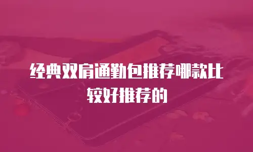 经典双肩通勤包推荐哪款比较好推荐的