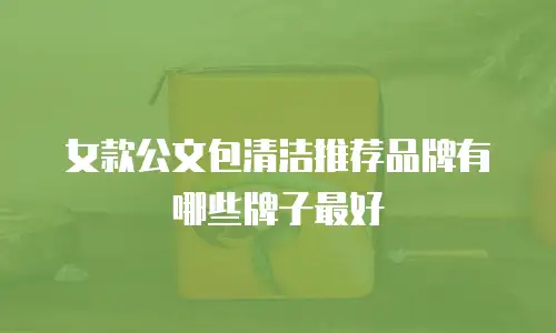 女款公文包清洁推荐品牌有哪些牌子最好