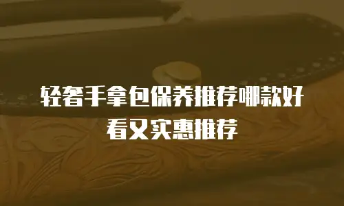 轻奢手拿包保养推荐哪款好看又实惠推荐