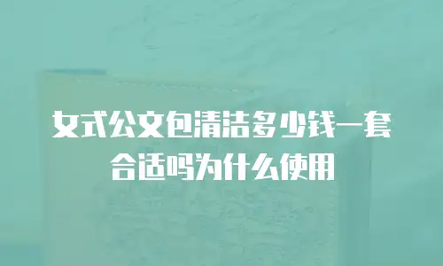 女式公文包清洁多少钱一套合适吗为什么使用