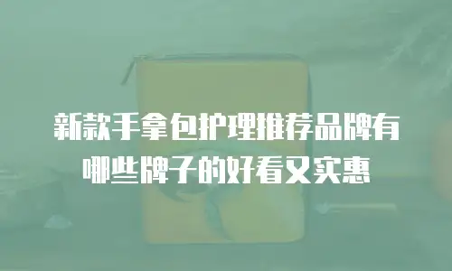 新款手拿包护理推荐品牌有哪些牌子的好看又实惠
