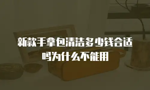 新款手拿包清洁多少钱合适吗为什么不能用