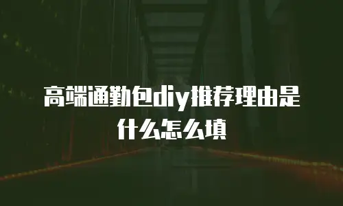 高端通勤包diy推荐理由是什么怎么填