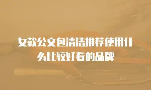女款公文包清洁推荐使用什么比较好看的品牌