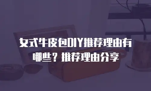 女式牛皮包DIY推荐理由有哪些？推荐理由分享