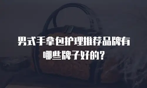 男式手拿包护理推荐品牌有哪些牌子好的？