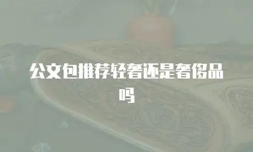 公文包推荐轻奢还是奢侈品吗