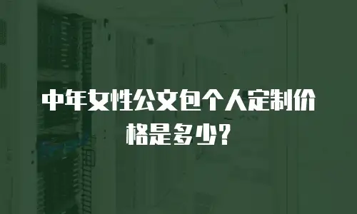 中年女性公文包个人定制价格是多少？