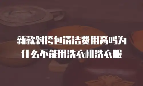 新款斜挎包清洁费用高吗为什么不能用洗衣机洗衣服