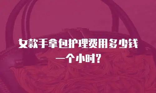 女款手拿包护理费用多少钱一个小时？