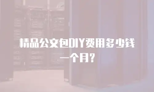 精品公文包DIY费用多少钱一个月？
