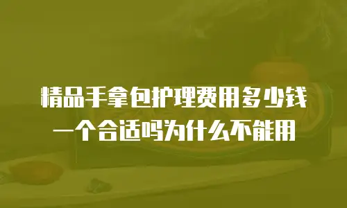 精品手拿包护理费用多少钱一个合适吗为什么不能用
