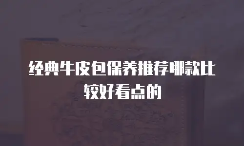 经典牛皮包保养推荐哪款比较好看点的