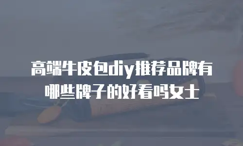 高端牛皮包diy推荐品牌有哪些牌子的好看吗女士