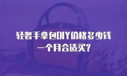 轻奢手拿包DIY价格多少钱一个月合适买？